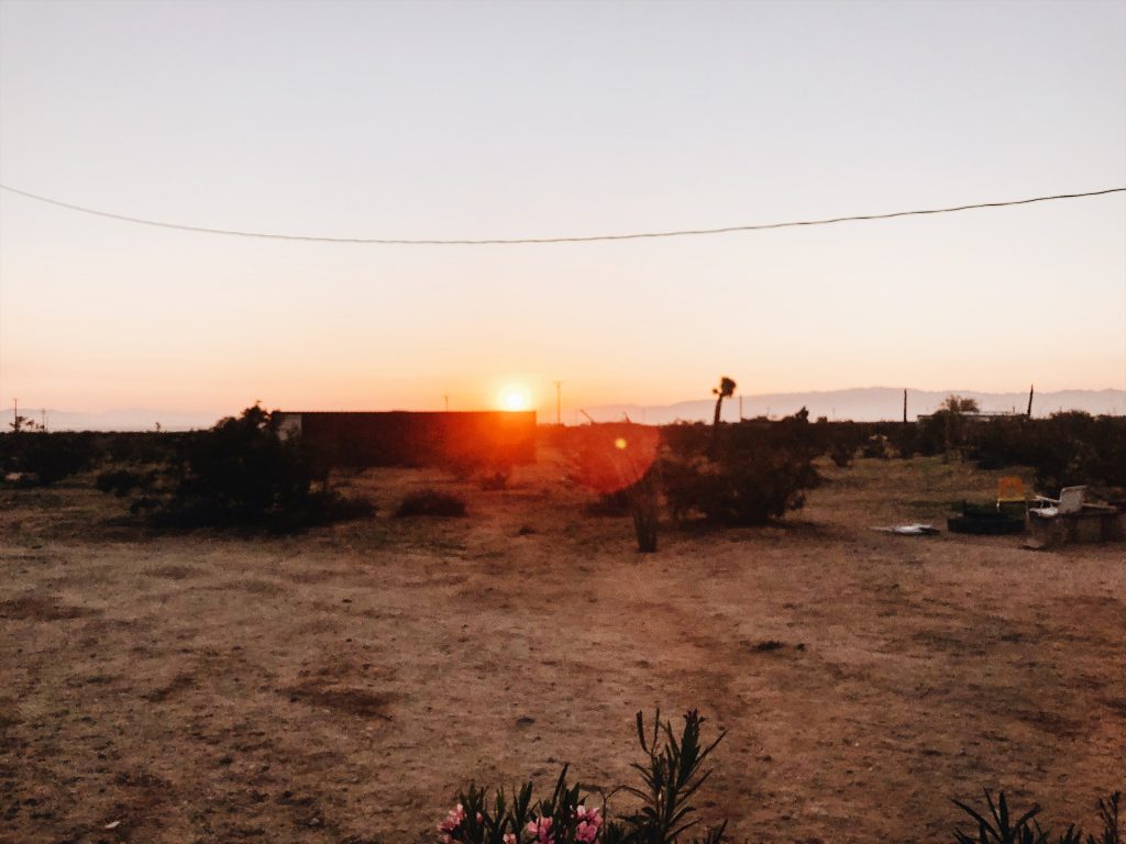 Wohnwagen Airstream im Joshua Tree Nationalpark sonnenaufgang
